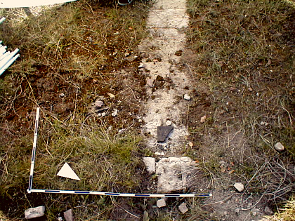 a threshold in the grass