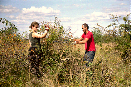 Marlen and Augusto tackeling the thorny bushes