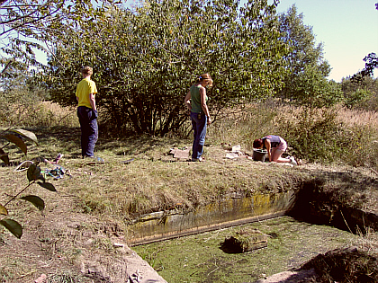 Tara and Malin are still working on the steps 