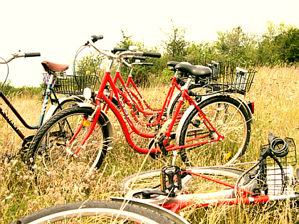 picture of our red bicycles