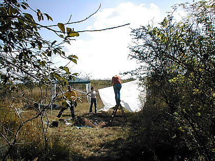 documenting our results of the digging